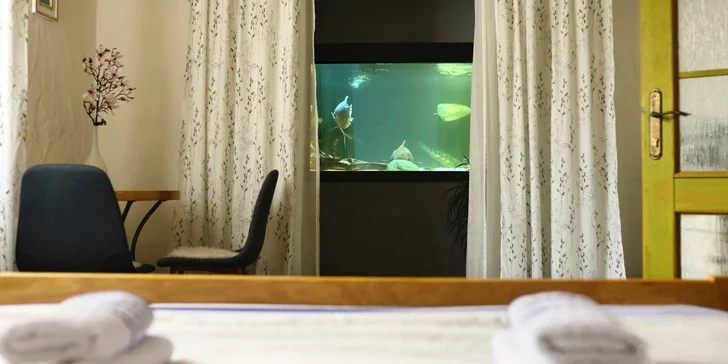 Pobyt v podhorí Beskýd: štýlové apartmány s raňajkami a prehliadkou vodnej minizoo