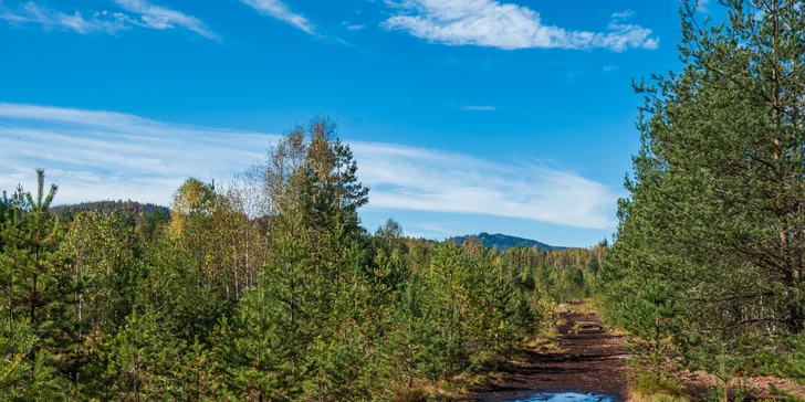 Vybavené apartmány až pre 6 osôb v blízkosti NP Šumava aj hodina bowlingu