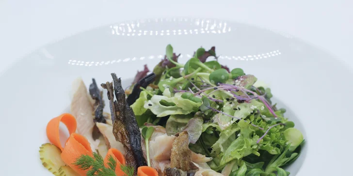 Kostelec nad Orlicou: pobyt s raňajkami, možnosť trojchodovej večere aj fľaše vína