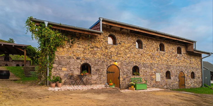 Zažite slovenské Toskánsko: domček uprostred viníc pre 4 osoby v blízkosti Tokaja