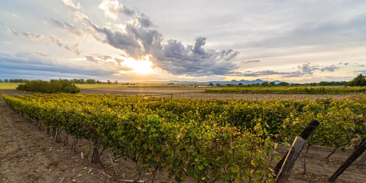 Zažite slovenské Toskánsko: domček uprostred viníc pre 4 osoby v blízkosti Tokaja