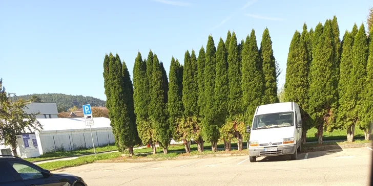 Klasická, relaxačná, reflexná masáž alebo masáž lávovými kameňmi