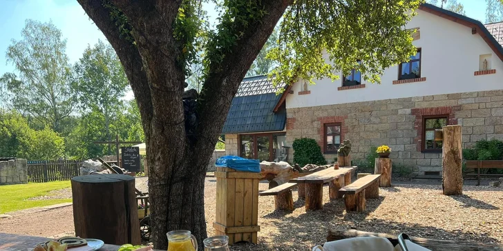 Historická vila pri priehrade Les Království a blízko Dvora Králové, raňajky v cene