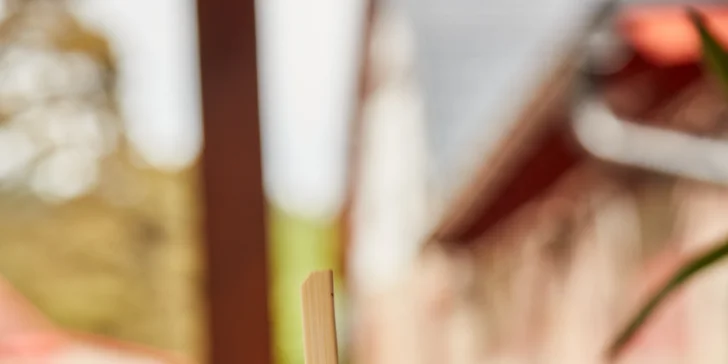 Historická vila pri priehrade Les Království a blízko Dvora Králové, raňajky v cene