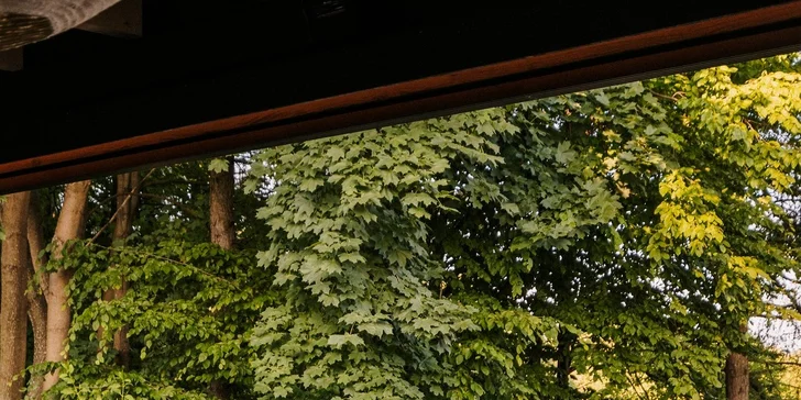 Poľská Jura – skalné mesto, vinice a pokoj: krásny hotel s wellness, polpenzia, 2 deti zdarma