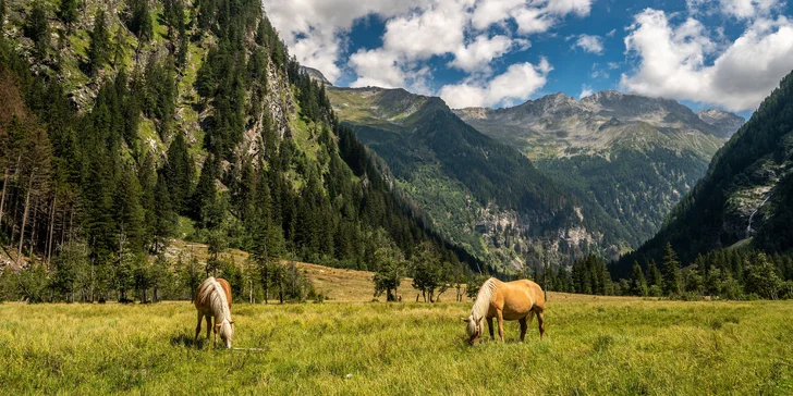 Pohodová dovolenka v Korutánsku: 3* hotel s polpenziou, wellness, výlety do hôr aj k jazeru