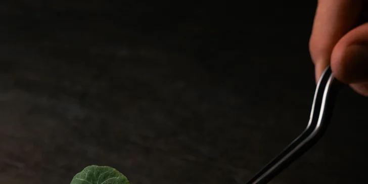 Welcome drinky zdarma a darčeková poukážka na konzumáciu v SKY bar & restaurant