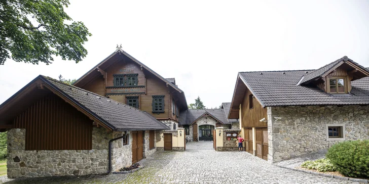 Dokonalý oddych v prírode Šumavy: pobyt s raňajkami alebo polpenziou aj wellness