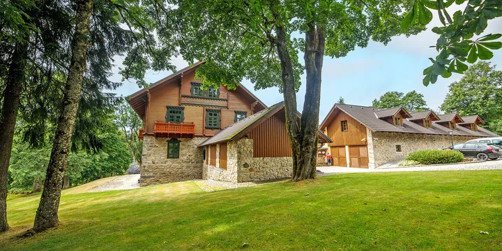 Dokonalý oddych v prírode Šumavy: pobyt s raňajkami alebo polpenziou aj wellness