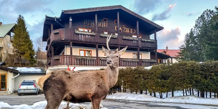 Oddych pre celú rodinu v tichom prostredí priamo vo Vysokých Tatrách
