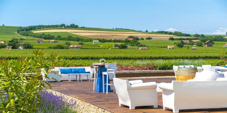 Vinársky pobyt so stravou a wellness: romantika pre dvoch aj vstupy do kúpeľov