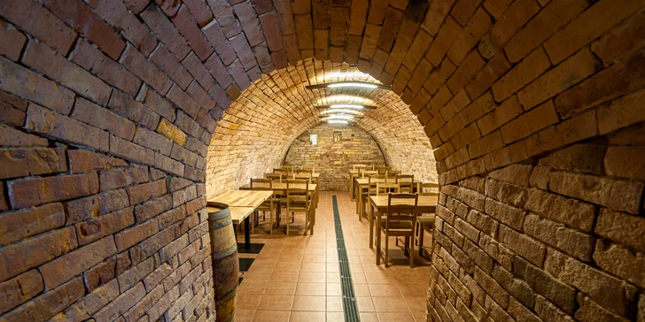 Pobyt vo vinárstve vo Veľkých Bíloviciach aj degustácia vín: apartmán alebo celý penzión až pre 8 osôb