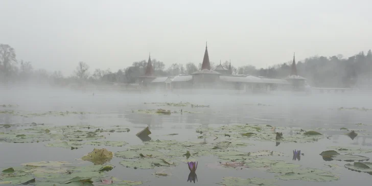 Krásny rezort 5 minút od termálnych kúpeľov Hévíz s polpenziou a neobmedzeným wellness
