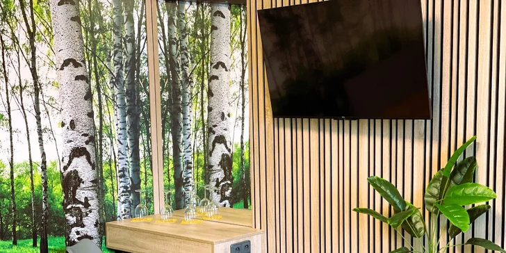 Pobyt pri zámockom parku, 1,5 km od Konopišťa: polpenzia a wellness, v lete bazén