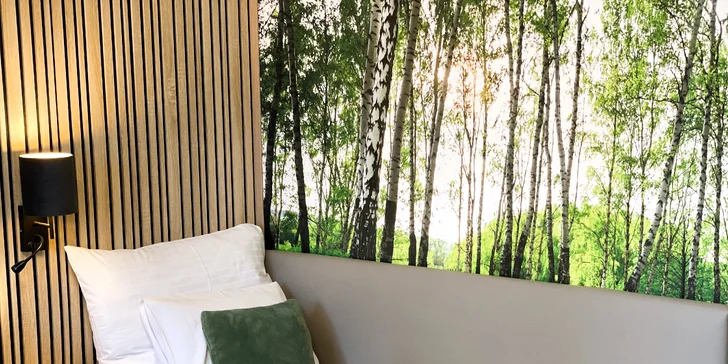 Pobyt pri zámockom parku, 1,5 km od Konopišťa: polpenzia a wellness, v lete bazén