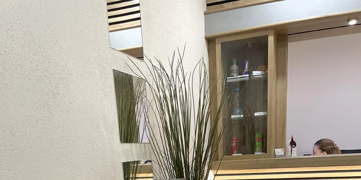 Pobyt pri zámockom parku, 1,5 km od Konopišťa: polpenzia a wellness, v lete bazén