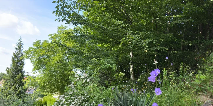 Pohodlie a pokoj v srdci Vřesiny: moderný bungalov až pre 5 osôb, 18 km od Ostravy