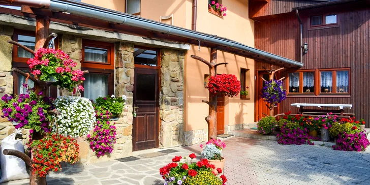 Pobyt v penzióne VeLa s polpenziou a wellness