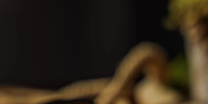 Trhané bravčové na hranolčekoch alebo Tyrol Gröstli s hovädzím mäsom a prílohou