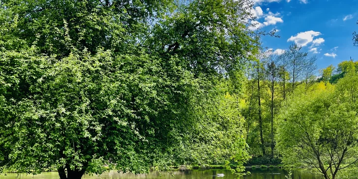 Plne vybavený tiny house na brehu rieky Ohře: terasa s grilom aj ohniskom