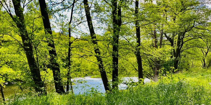 Plne vybavený tiny house na brehu rieky Ohře: terasa s grilom aj ohniskom