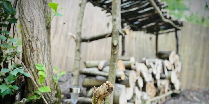 Vybavený treehouse na úpätí Krušných hôr: terasa s výhľadom aj gril