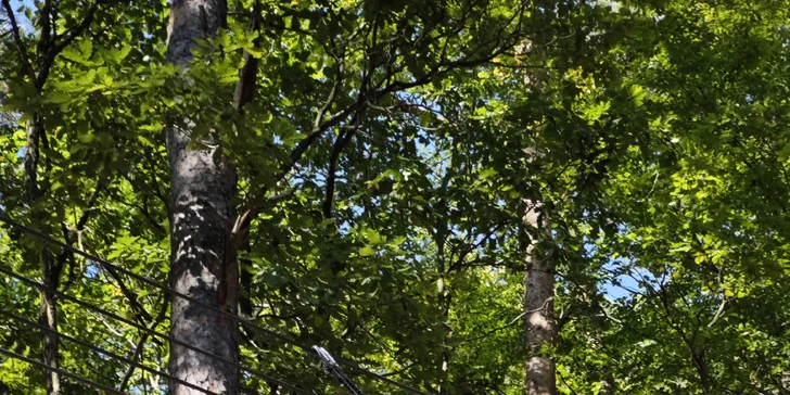 Ferrata ZVONIČKA NOVÁ BAŇA s certifikovaným inštruktorom: Detský ferratový kurz pre deti od 6 do 10 rokov