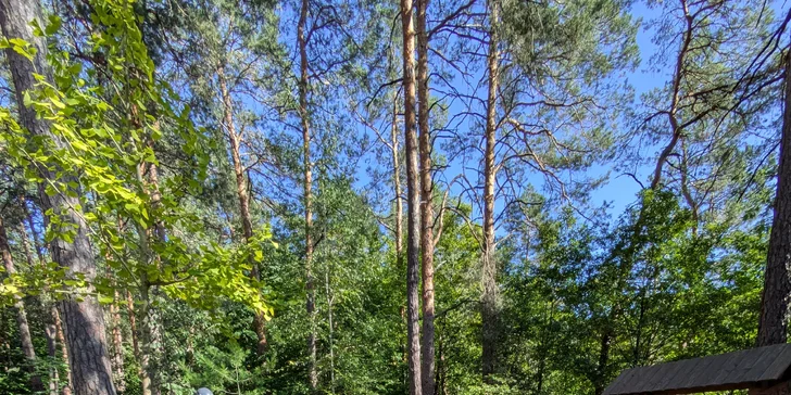 Ferrata ZVONIČKA NOVÁ BAŇA s certifikovaným inštruktorom: Detský ferratový kurz pre deti od 6 do 10 rokov