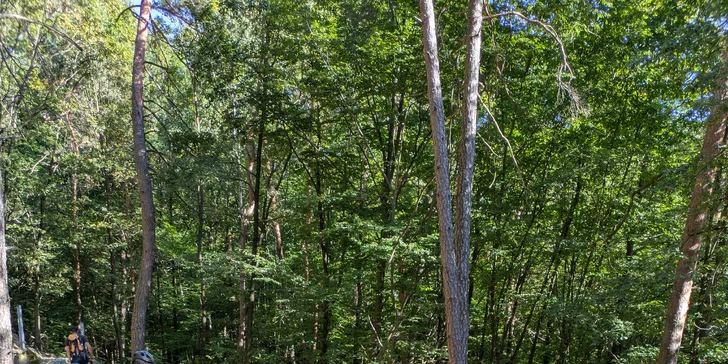 Ferrata ZVONIČKA NOVÁ BAŇA s certifikovaným inštruktorom: Detský ferratový kurz pre deti od 6 do 10 rokov