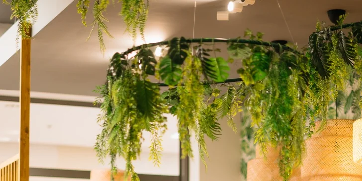 Hodinové vstupy do detského centra Zahrajkovo v Pezinku