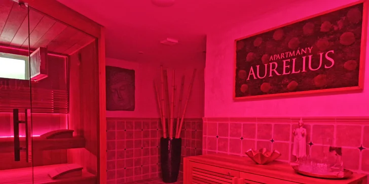 Apartmán v centre Trenčína so vstupom do privátneho wellness