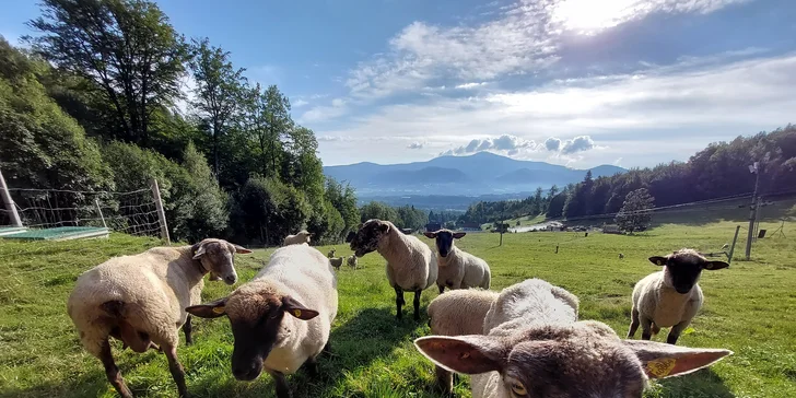 Dovolenka v Čeladnej v Beskydách: polpenzia, neobmedzený wellness a zľavy na atrakcie