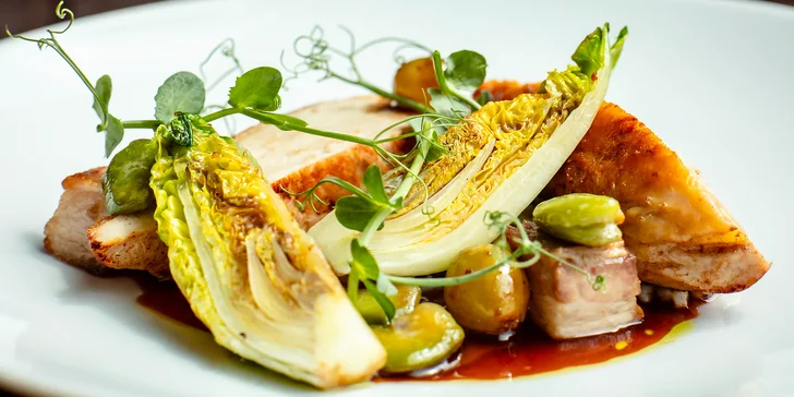 Zámocká romantika pri Vratislavi: raňajky alebo polpenzia, neobmedzený wellness a krásne okolie