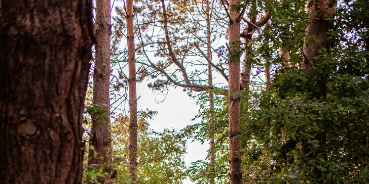 Relax pri Baltskom mori: penzión s neobmedzeným wellness a polpenziou