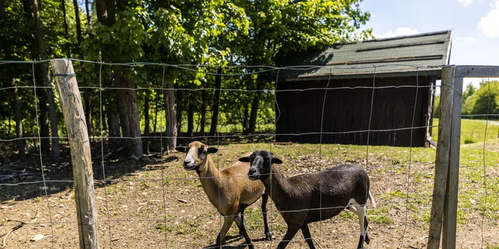 Pobyt na pomedzí Jeseníkov a Orlických hôr: penzión s výhľadom na hory, vrátane raňajok