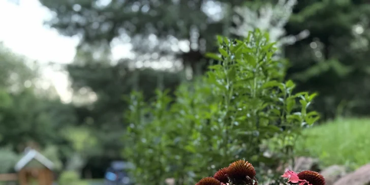 Útulný Tiny House v prírode Podkrkonošia pre 2 osoby