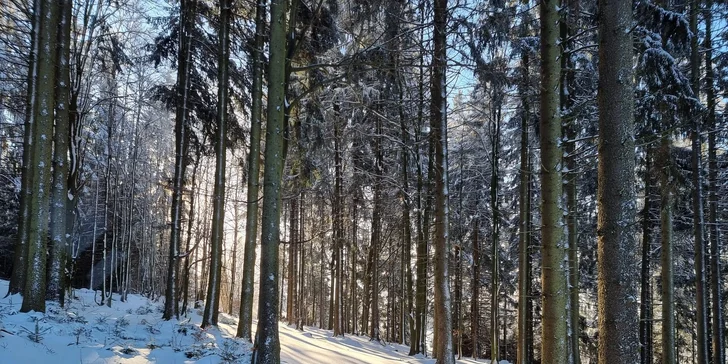 Pobyt v rodinnom rezorte na Šumave s jedlom a wellness pre pár aj rodinu