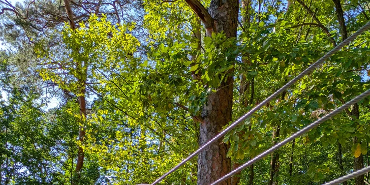 Ferrata ZVONIČKA NOVÁ BAŇA s certifikovaným inštruktorom: Detský ferratový kurz pre deti od 6 do 10 rokov