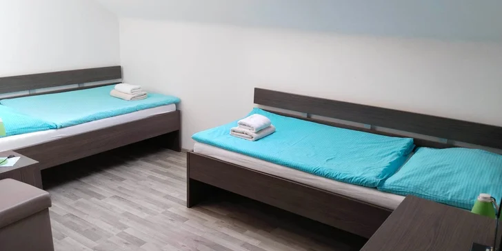 Penzión na južnej Morave pre pár aj rodinu: možnosť raňajok a vstupy do múzeí