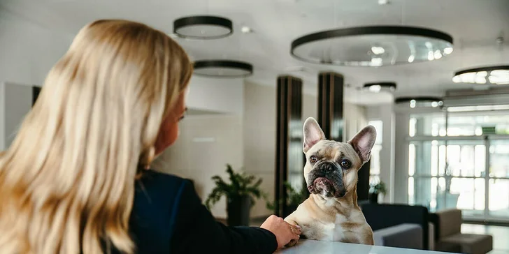 Relax pri Balte kúsok od pláže: neobmedzený wellness, polpenzia a balíčky vrátane procedúr