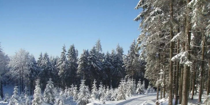 Parádny pobyt v Jizerkách: dovolenka v Bedřichove s polpenziou