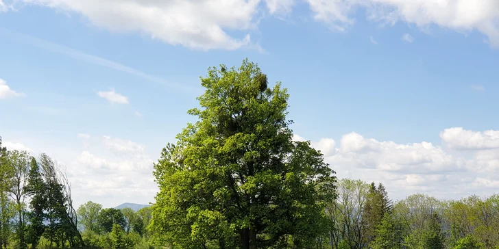 Romantický pobyt v apartmánoch v hoteli Zámeček na Čeladnej: raňajky a privátne wellness