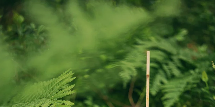 Boutique wellness rezort pri Opole: zátoka Bajka s piesočnatou plážou, strava aj zábava pre deti