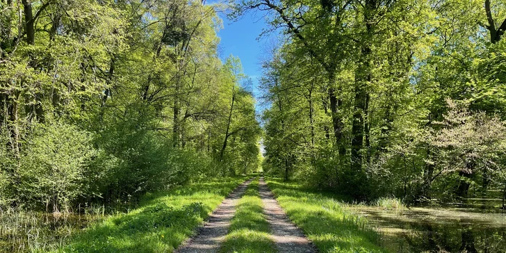 Oáza pokoja na južnej Morave: raňajky aj neobmedzené využitie wellness a bazénov