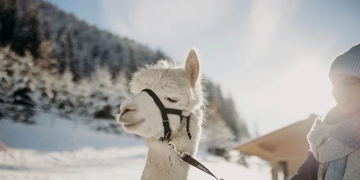 Údolie Grossarl: neobmedzene wellness, polpenzia s päťchodovými večerami, horskí sprievodcovia aj alpaky