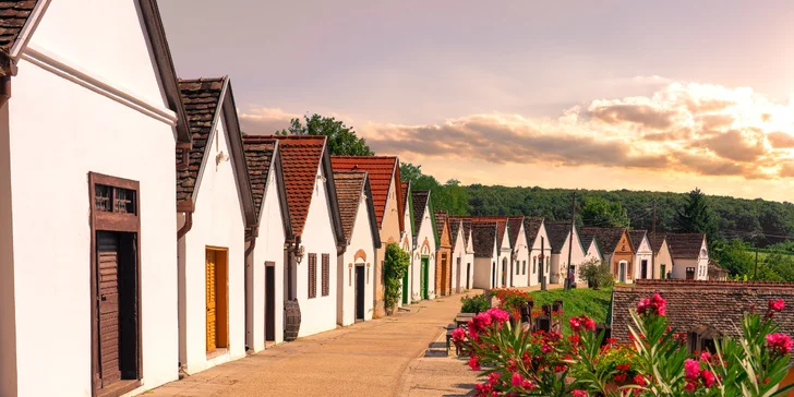 Vinársky pobyt so stravou a wellness: romantika pre dvoch aj vstupy do kúpeľov