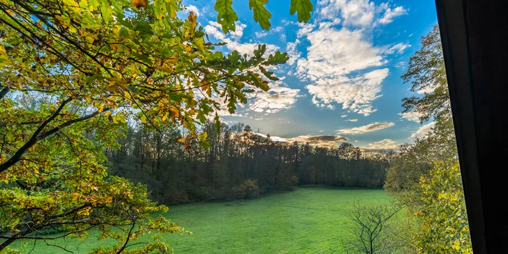 Pobyt v malebnej lesnej wellness chate len 7 km od Litomyšle: sauna, vírivka aj zapožičanie loďky