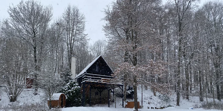 Pobyt v malebnej lesnej wellness chate len 7 km od Litomyšle: sauna, vírivka aj zapožičanie loďky