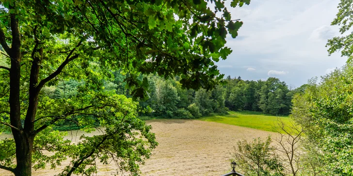 Pobyt v malebnej lesnej wellness chate len 7 km od Litomyšle: sauna, vírivka aj zapožičanie loďky