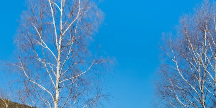 Poľská strana Sněžníku: raj cyklistov, moderné domčeky až pre 6 osôb s božským výhľadom, možnosť wellness